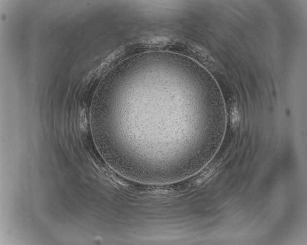 X0000070401204200606161337