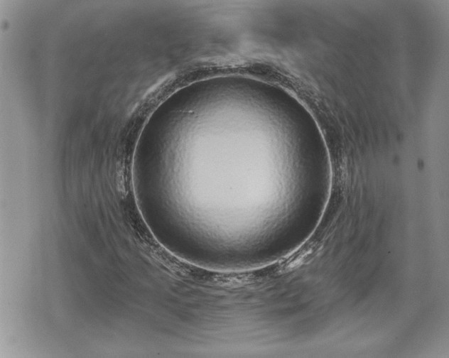 X0000070401205200606161337