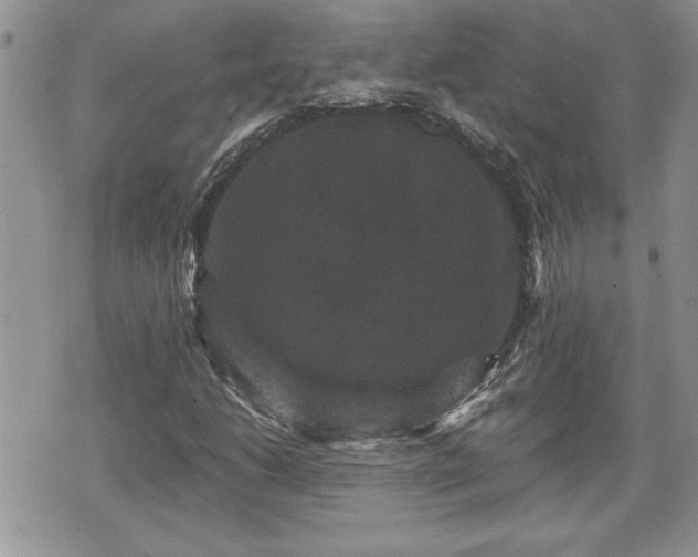 X0000070401206200606161337