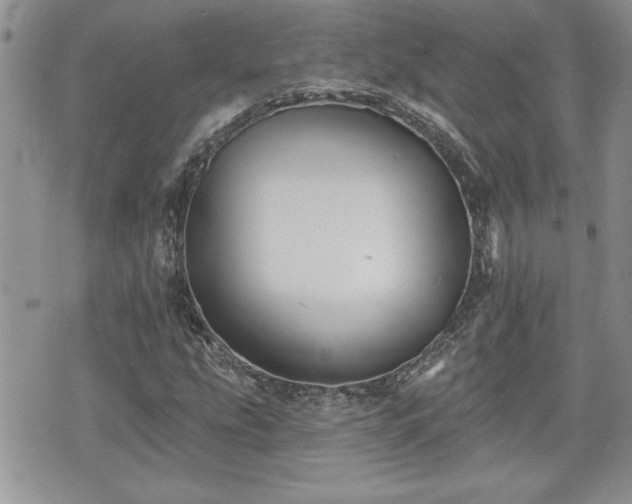 X0000070401207200606161337