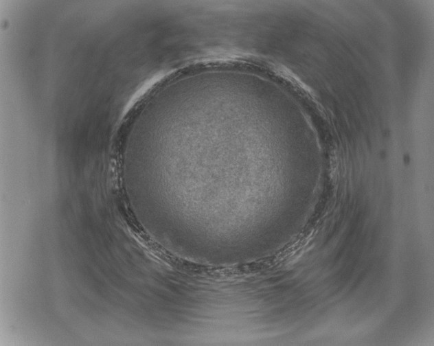 X0000070401208200606161337