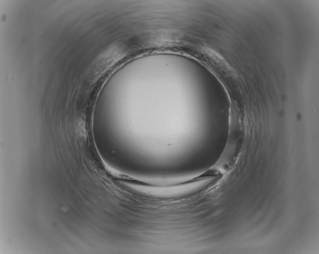 X0000070401209200606161337