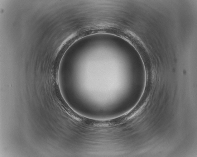 X0000070401210200606161337