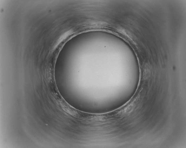 X0000070401211200606161337