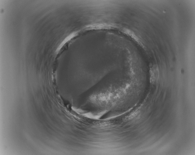 X0000070401213200606161337