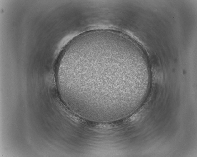 X0000070401215200606161337