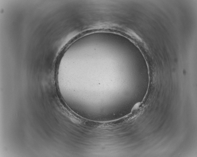 X0000070401216200606161337