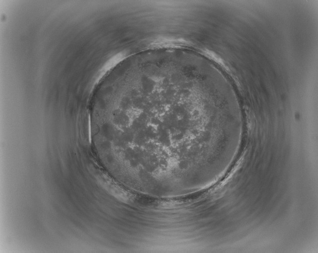 X0000070401219200606161337