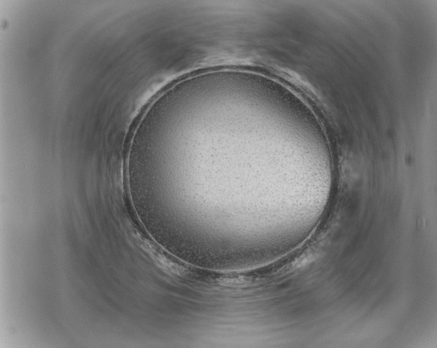 X0000070401220200606161337