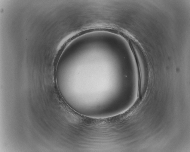 X0000070401222200606161337