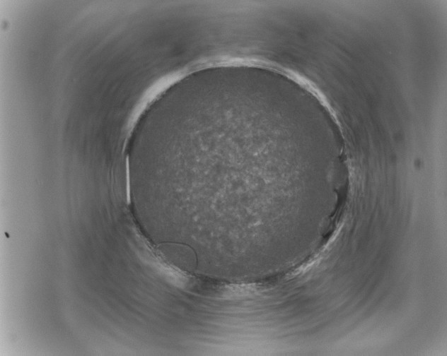 X0000070401223200606161337