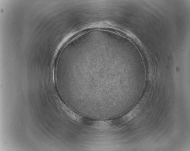 X0000070401224200606161337