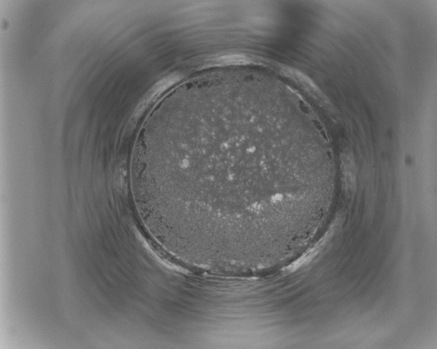 X0000070401225200606161337