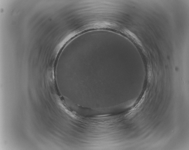 X0000070401226200606161337