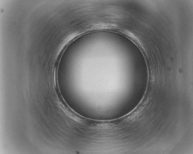 X0000070401227200606161337