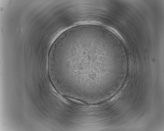 X0000070401228200606161337