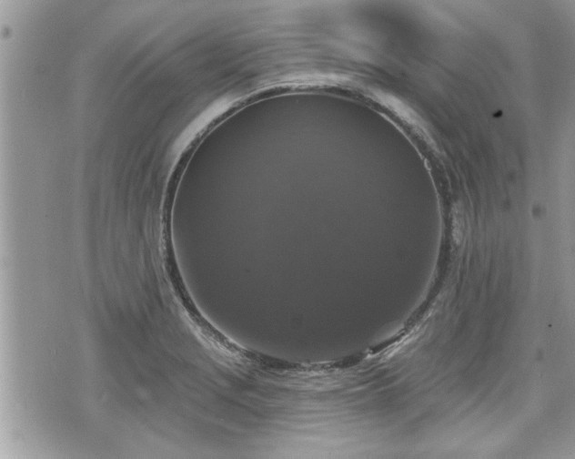 X0000070401229200606161337