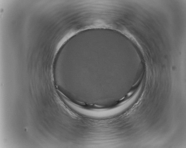 X0000070401230200606161337