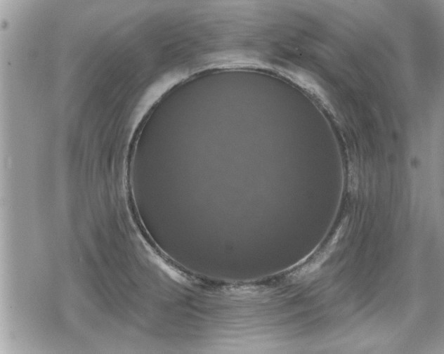 X0000070401231200606161337