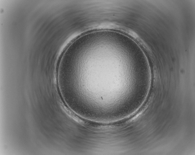 X0000070401232200606161337