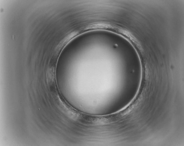 X0000070401233200606161337