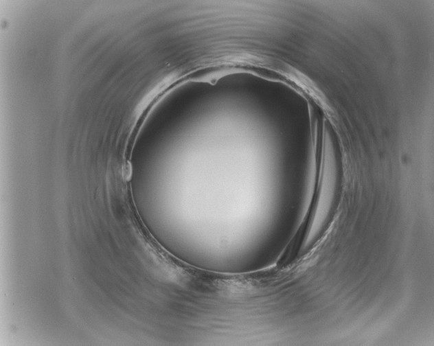 X0000070401234200606161337