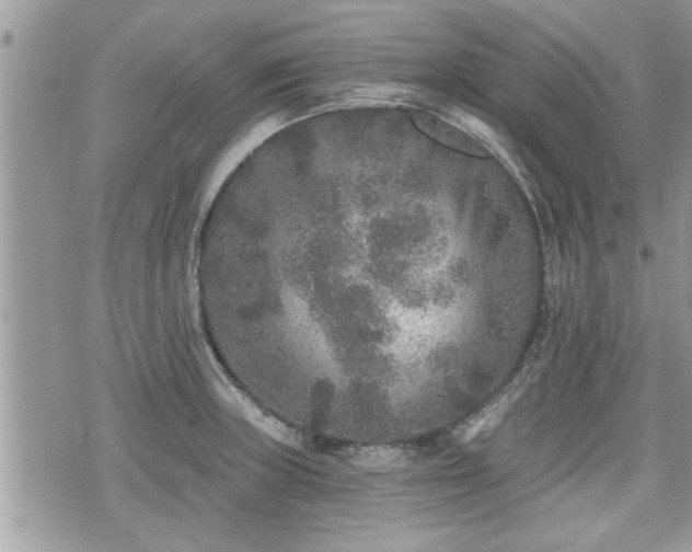 X0000070401235200606161337