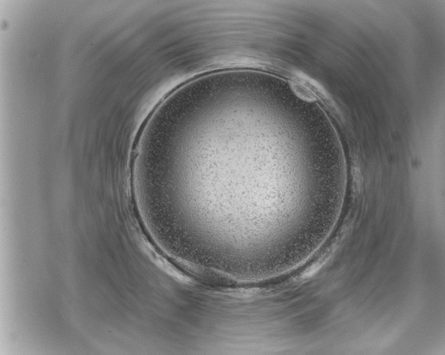 X0000070401236200606161337