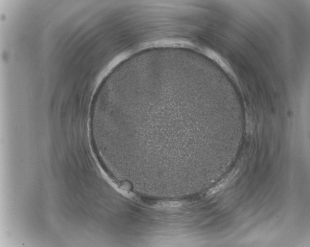 X0000070401237200606161337