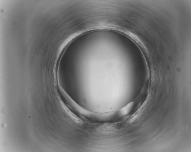 X0000070401238200606161337