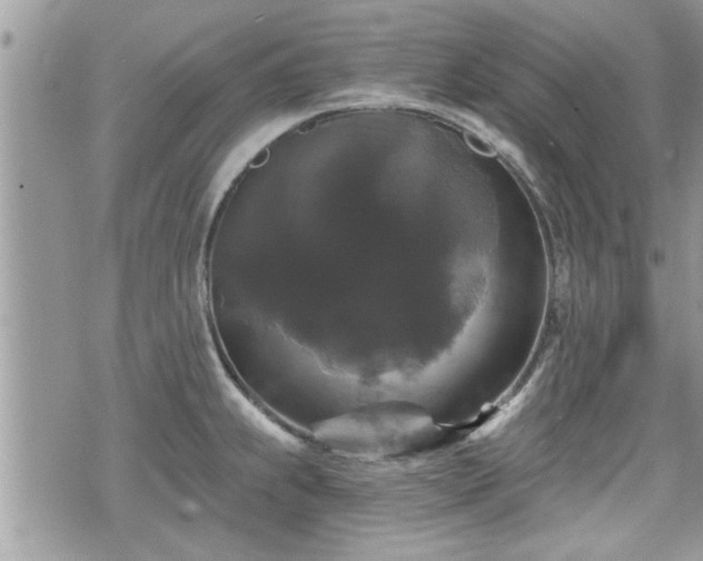 X0000070401239200606161337