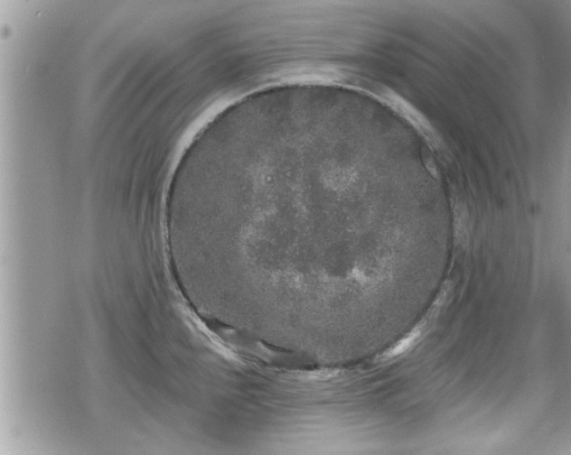 X0000070401240200606161337