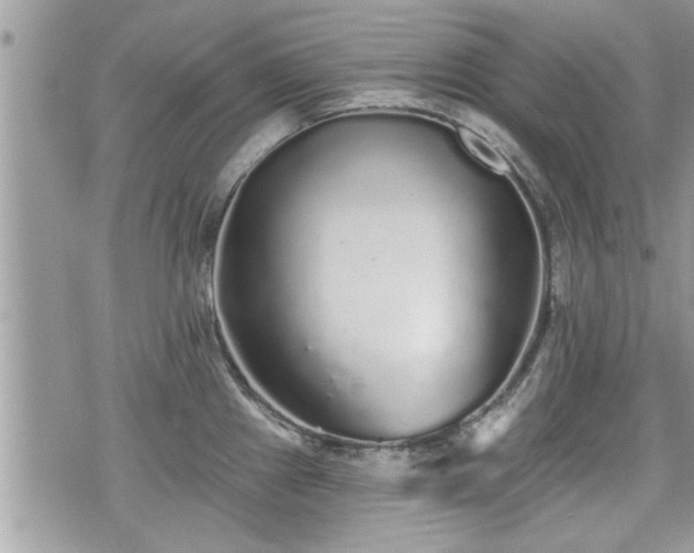 X0000070401241200606161337