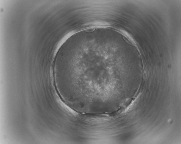 X0000070401243200606161337