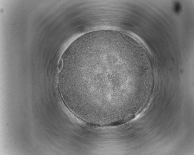 X0000070401244200606161337