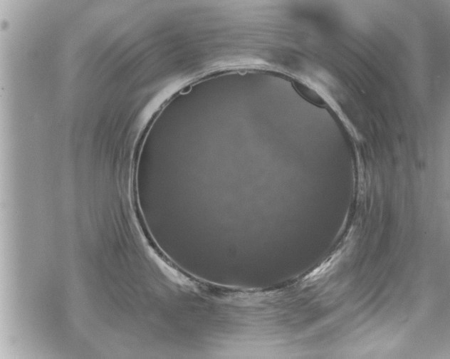 X0000070401245200606161337