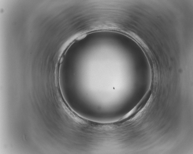 X0000070401246200606161337