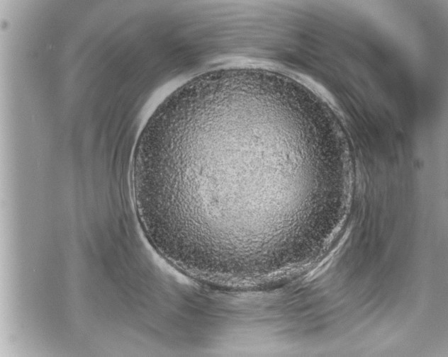 X0000070401247200606161337