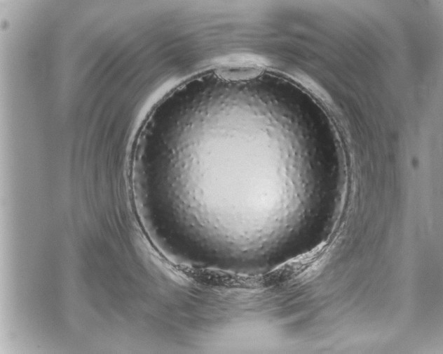 X0000070401248200606161337