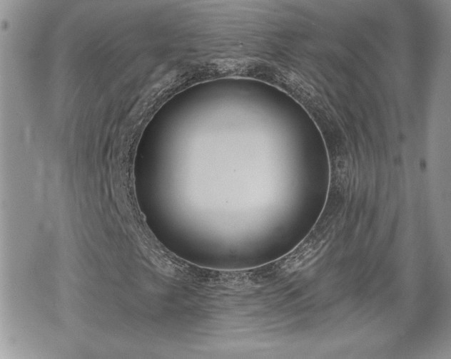 X0000070401249200606161336