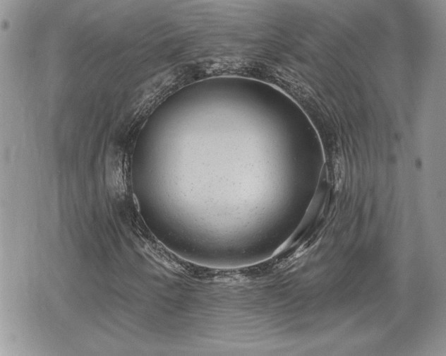 X0000070401250200606161336