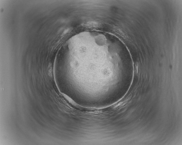 X0000070401251200606161336