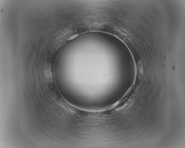 X0000070401252200606161336