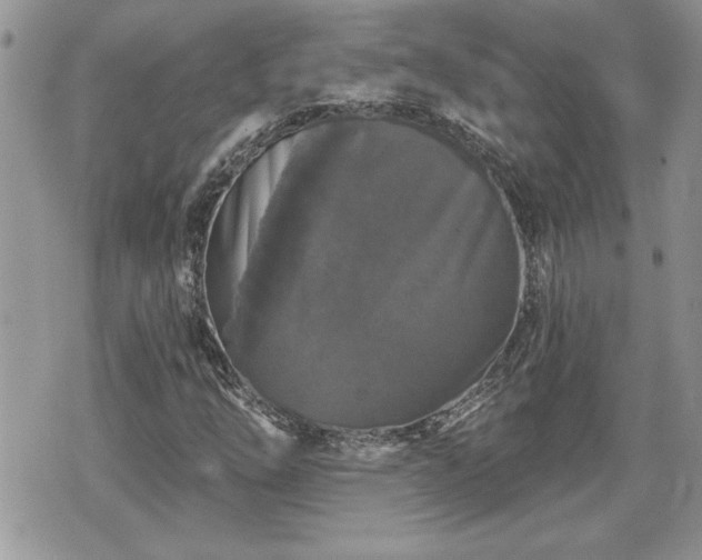 X0000070401254200606161336