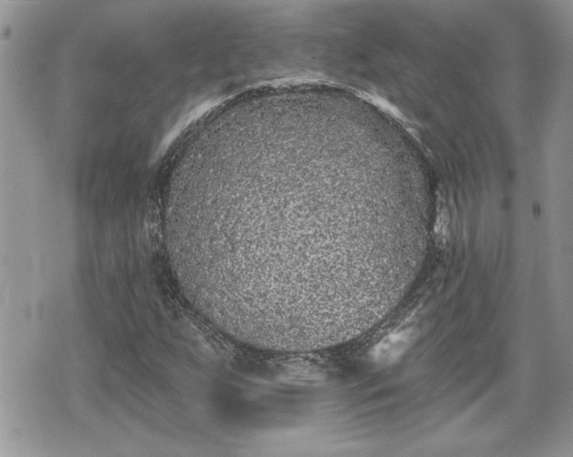 X0000070401255200606161336