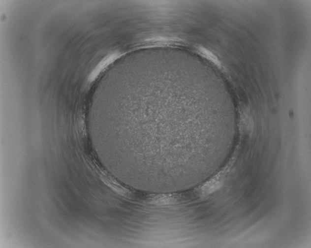 X0000070401259200606161336