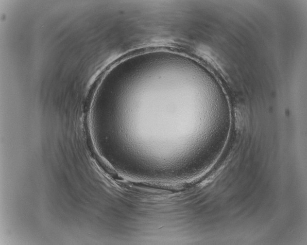 X0000070401260200606161336