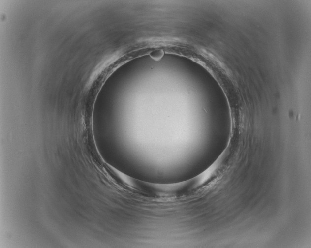 X0000070401261200606161336