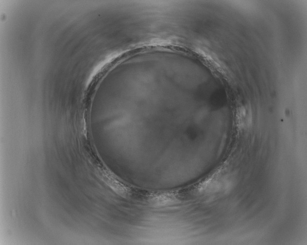 X0000070401262200606161336