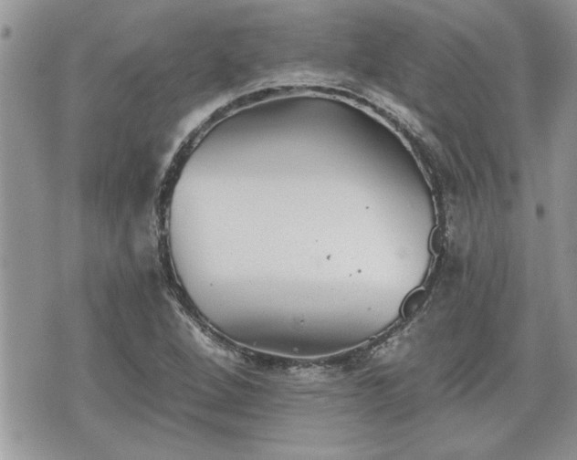 X0000070401264200606161336